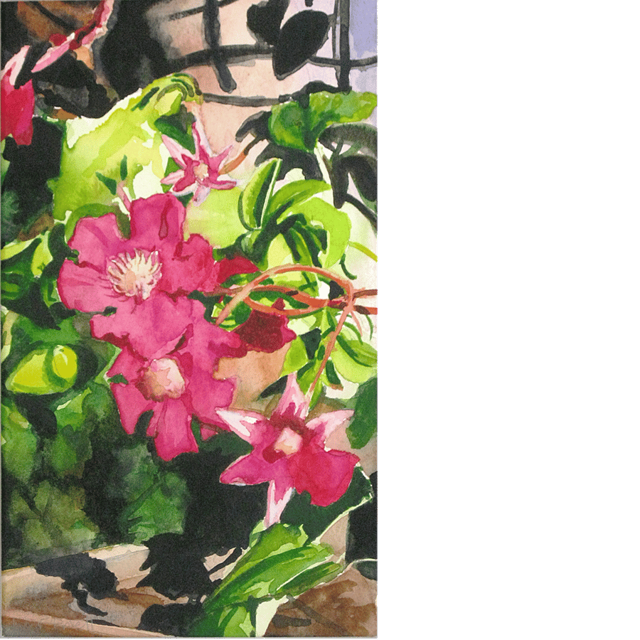 Red clematis. Signed original watercolour painting