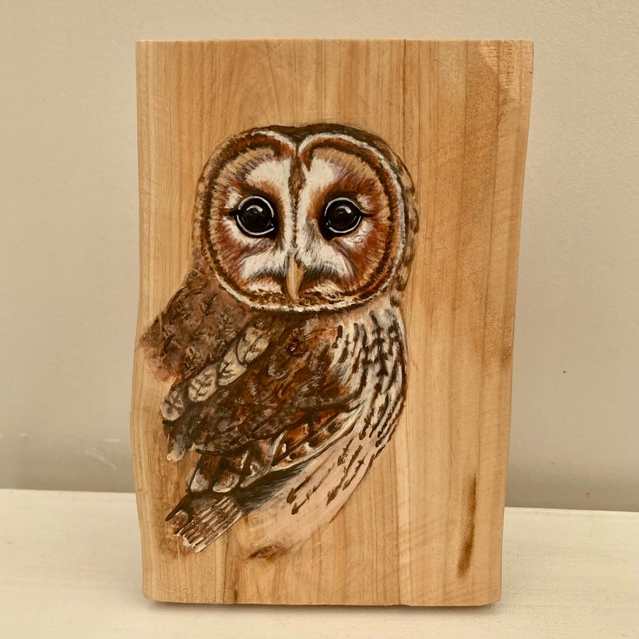 Tawny owl wood stump painting
