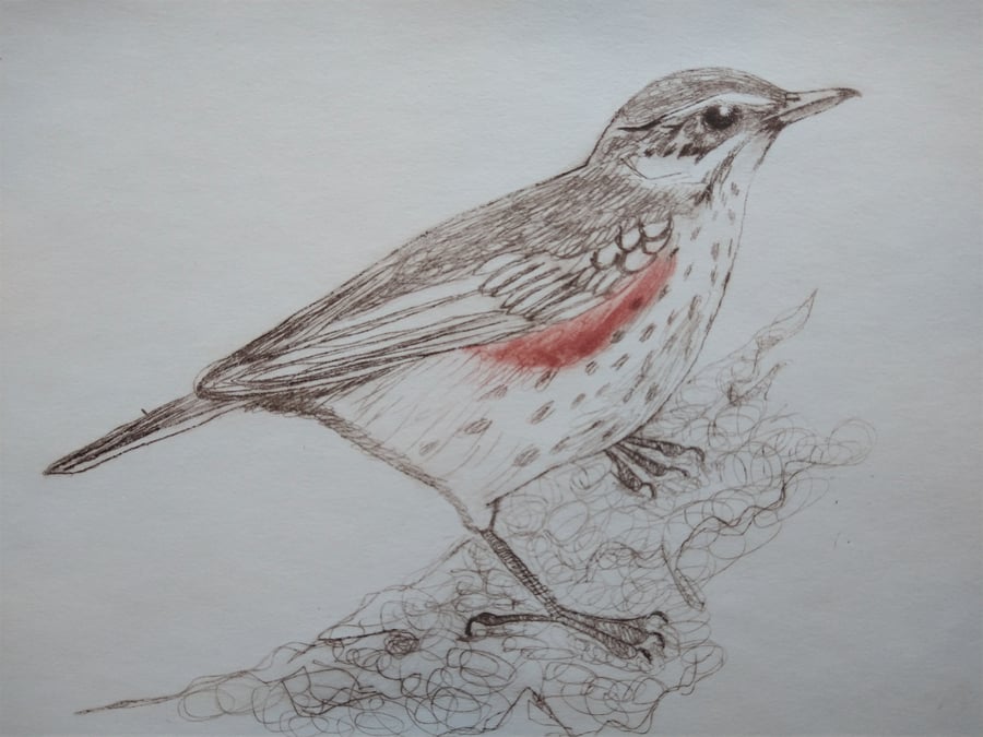 Redwing Drypoint Print