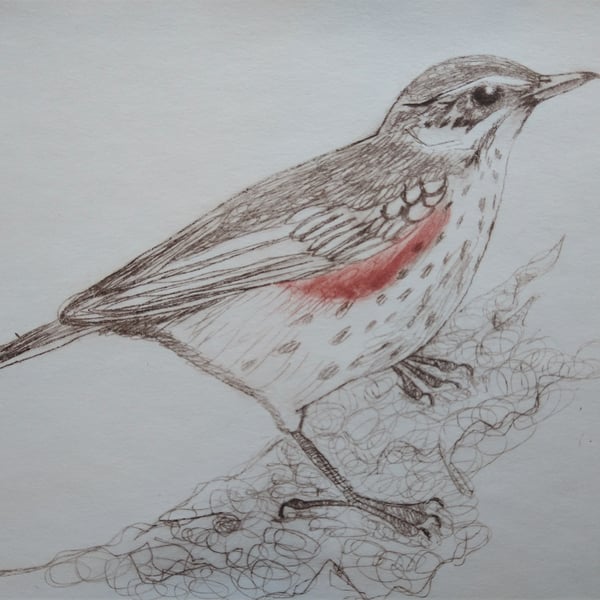 Redwing Drypoint Print