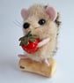 Strawberry Hedgehog ( Light Brown) - Image 4