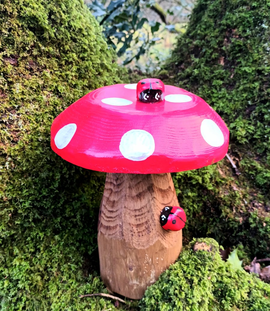Red Spotty Toadstool (D2)