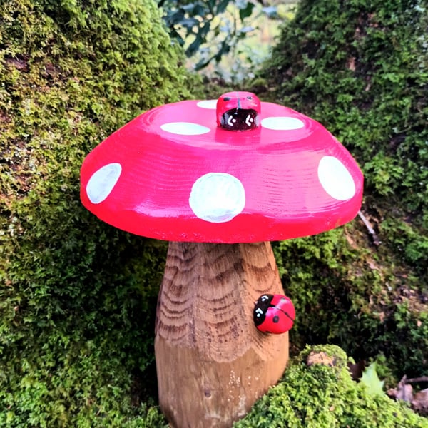 Red Spotty Toadstool (D2)