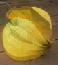 paper table lamp - pod light - Image 4