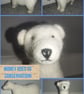 Needle felted polar bear 