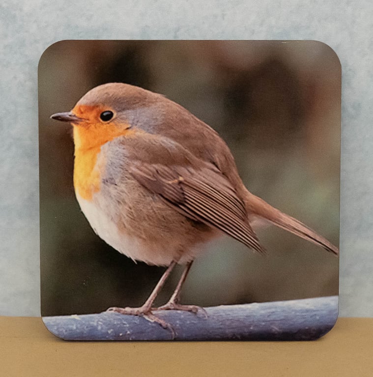 Coaster featuring Robbie the Robin 