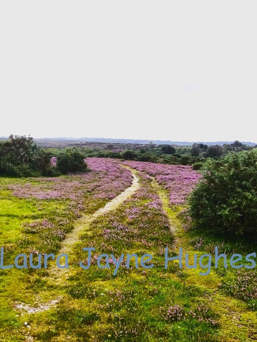 Path through the heather, in Burley, New Forest. A4 photographic print