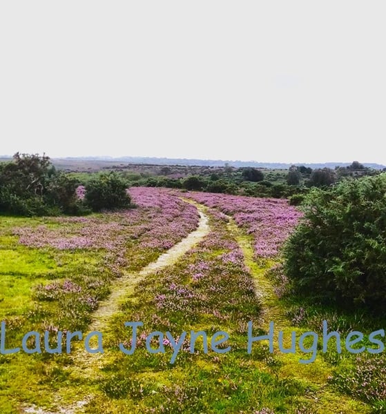 Path through the heather, in Burley, New Forest. A4 photographic print