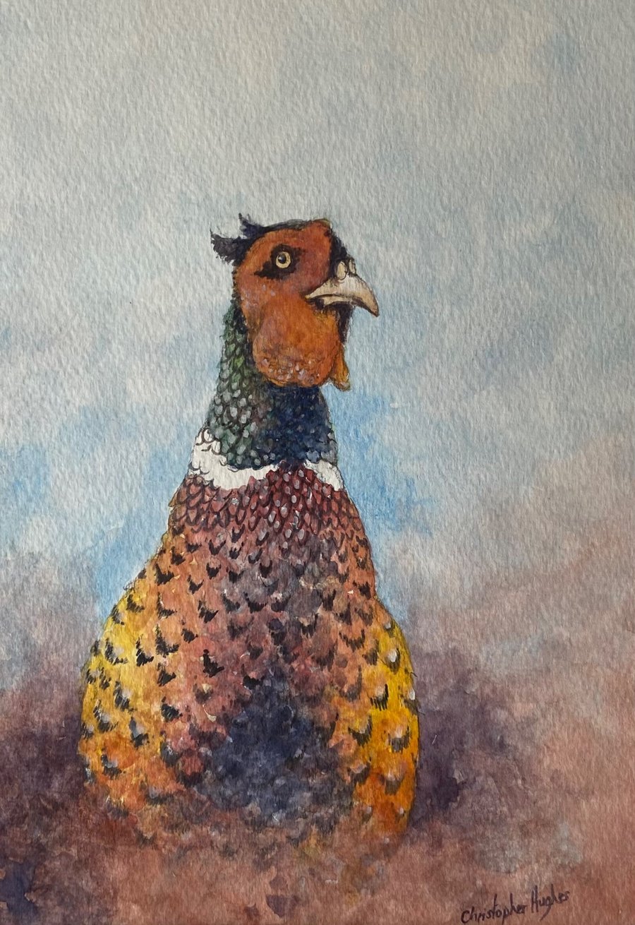 Pheasant . Original watercolour by Christopher Hughes 