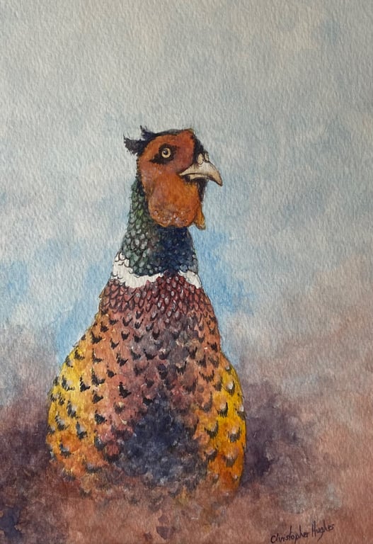 Pheasant . Original watercolour by Christopher Hughes 