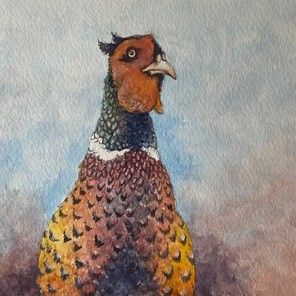 Pheasant . Original watercolour by Christopher Hughes 