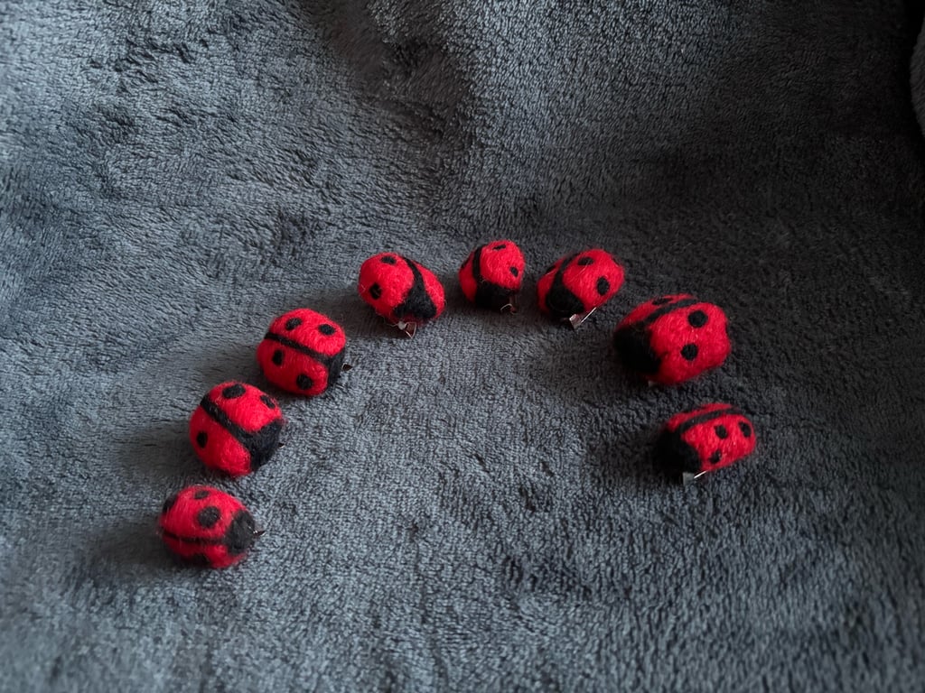 Ladybird brooch