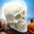 Tiny Concrete Light Grey Skull - Halloween Decoration Suitable for Painting