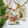 GIFT TAGS  ( set of 3 ) .Vintage -style  'Botanical Fruit .