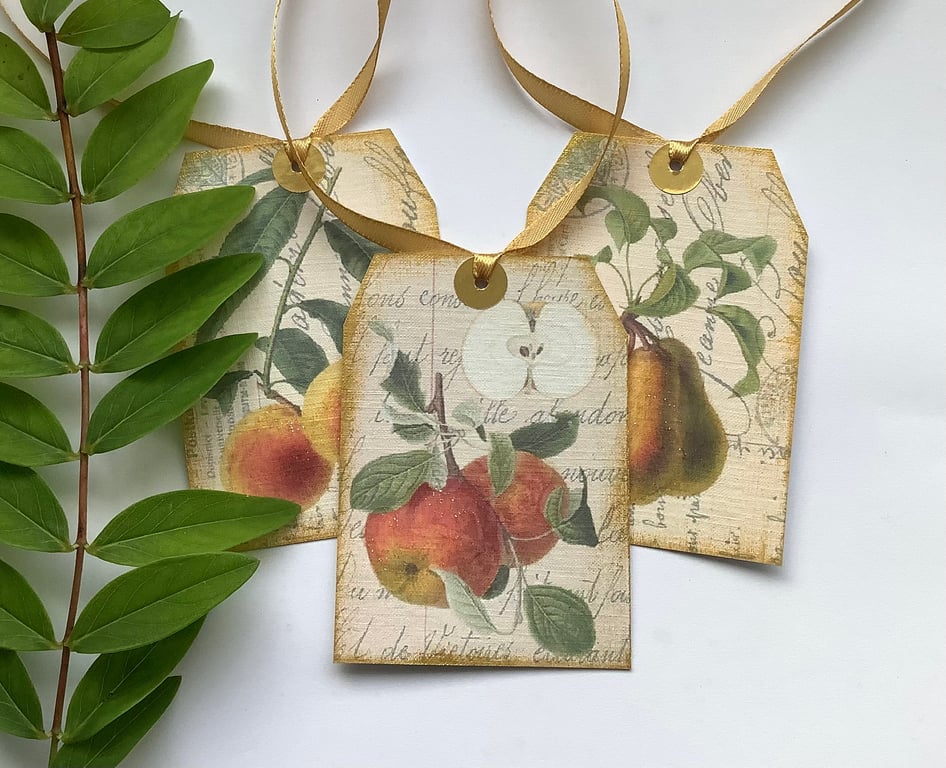 GIFT TAGS  ( set of 3 ) .Vintage -style  'Botanical Fruit .