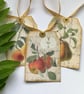 GIFT TAGS  ( set of 3 ) .Vintage -style  'Botanical Fruit .