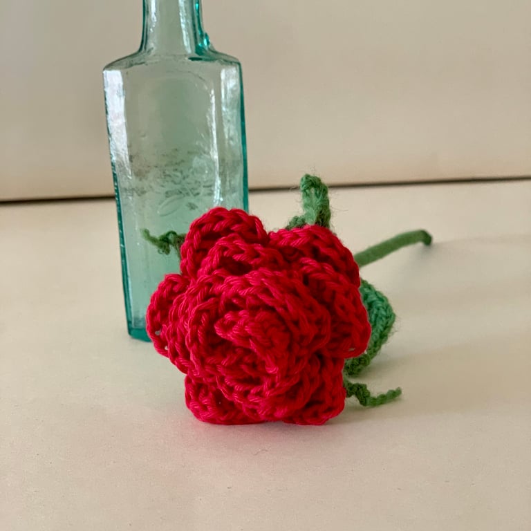 Single red rose in an antique bottle