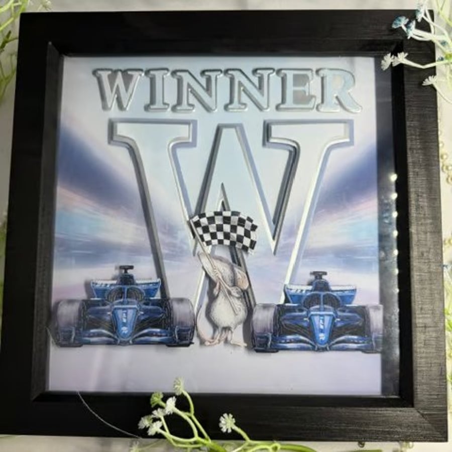 Handmade Racing Car Winner Shadow Box