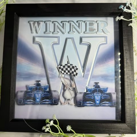 Handmade Racing Car Winner Shadow Box