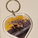 Colourful Bumblebee heart shaped photography keyring 