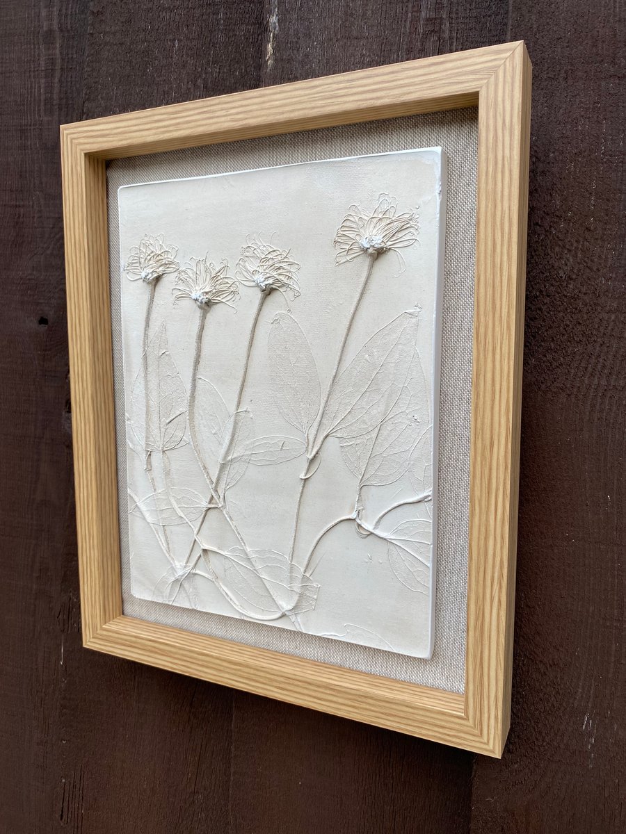 Framed Botanical Cast of Wild Clematis Seedheads