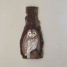 Tawny owl in tree