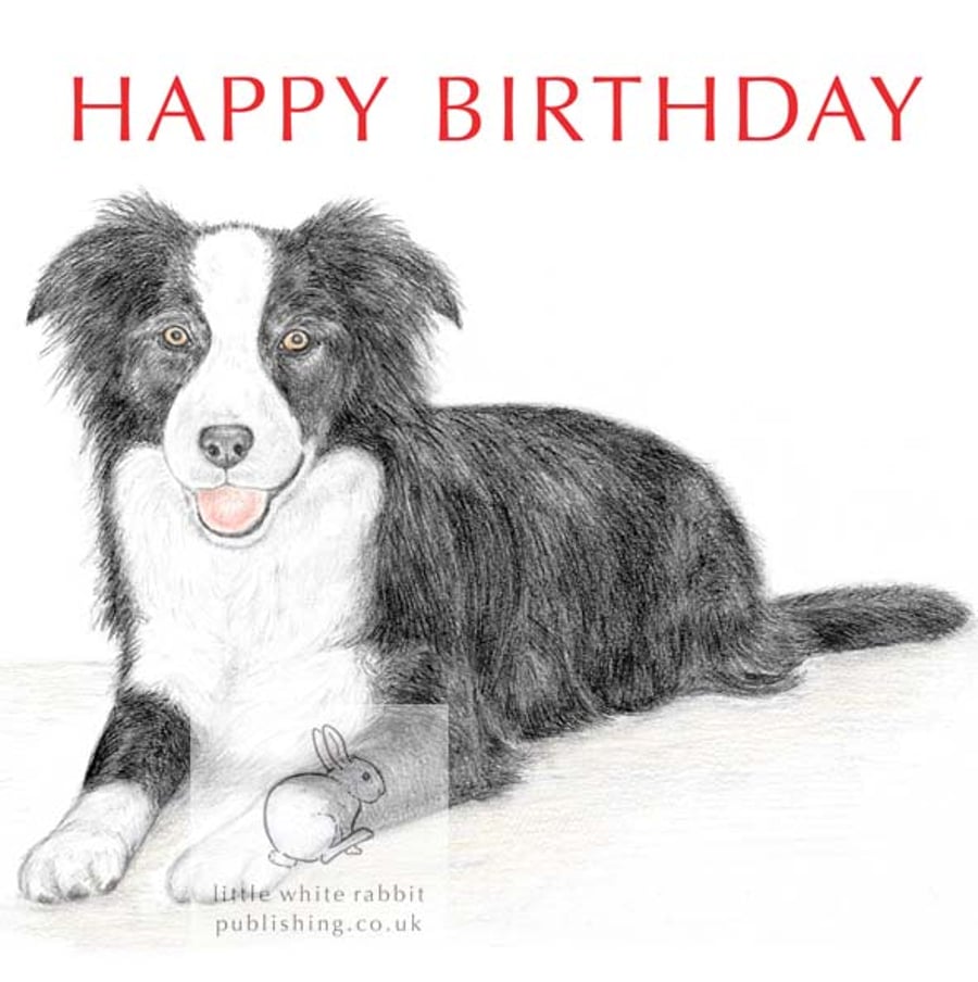 Ivy the Border Collie -  Birthday Card