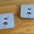 Coasters. Bee on wild scabious flower. Photo image cork backed.