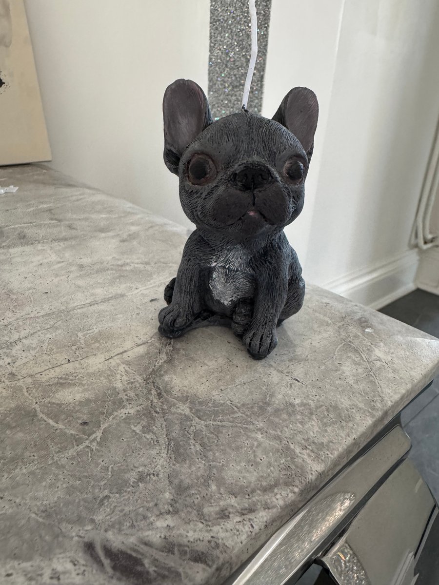 French bulldog candle