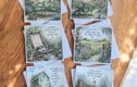 Cards and gifts for gardeners