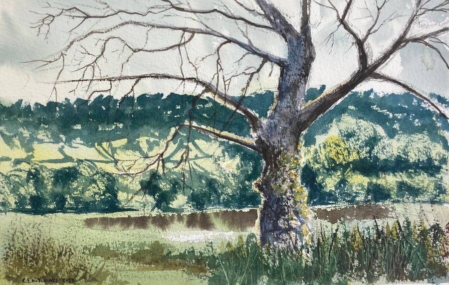 Dead tree study margrove nature reserve (Pure Original Watercolour)