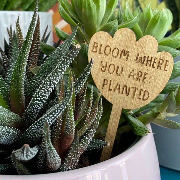 Unique gifts for women, wood houseplant plant marker for indoor gardener