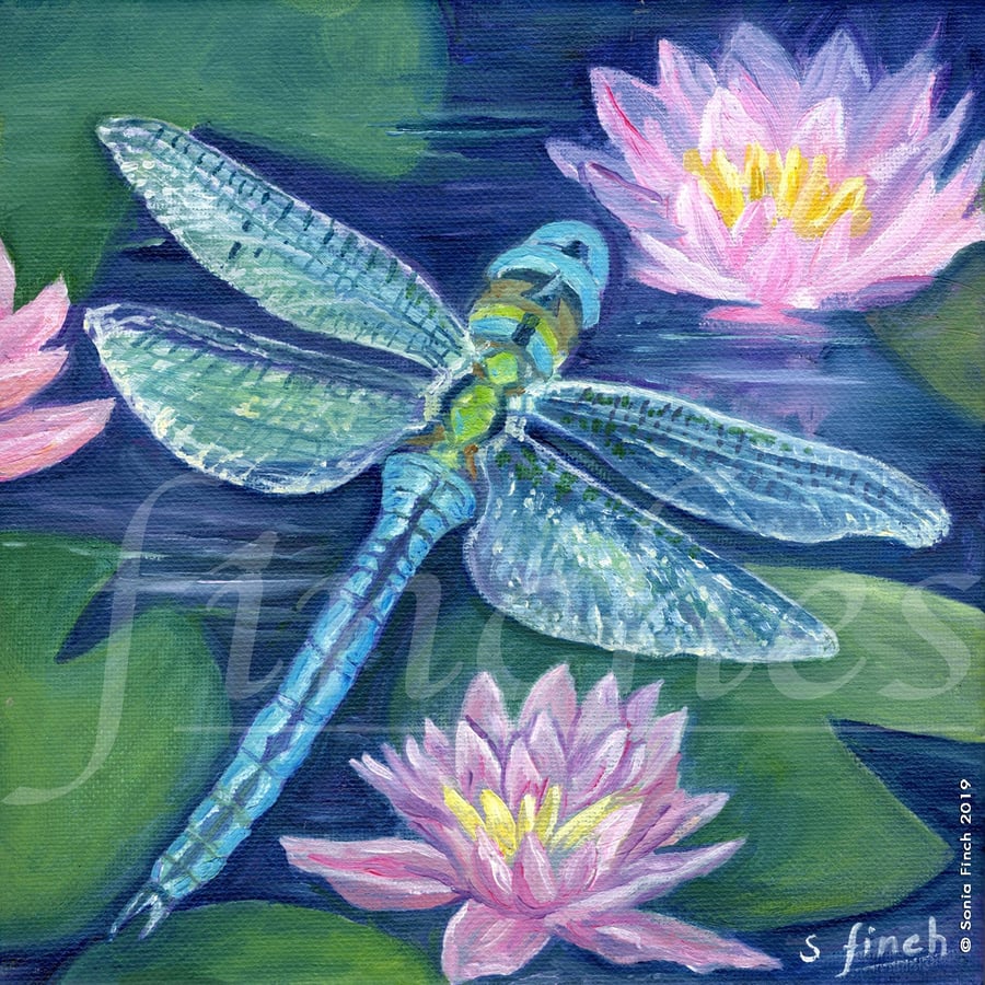 Spirit of Dragonfly - Limited Edition Giclée Print