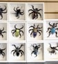 Ceramic Porcelain Bug Horned Beetle - Arnold - Image 2
