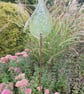 Glass Garden Raindrops