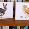 Hare and Owl blank greeting cards 4x6
