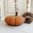 Medium Orange Pumpkin