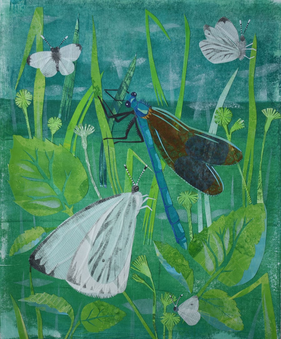 Whites and banded demoiselle- COLLAGE