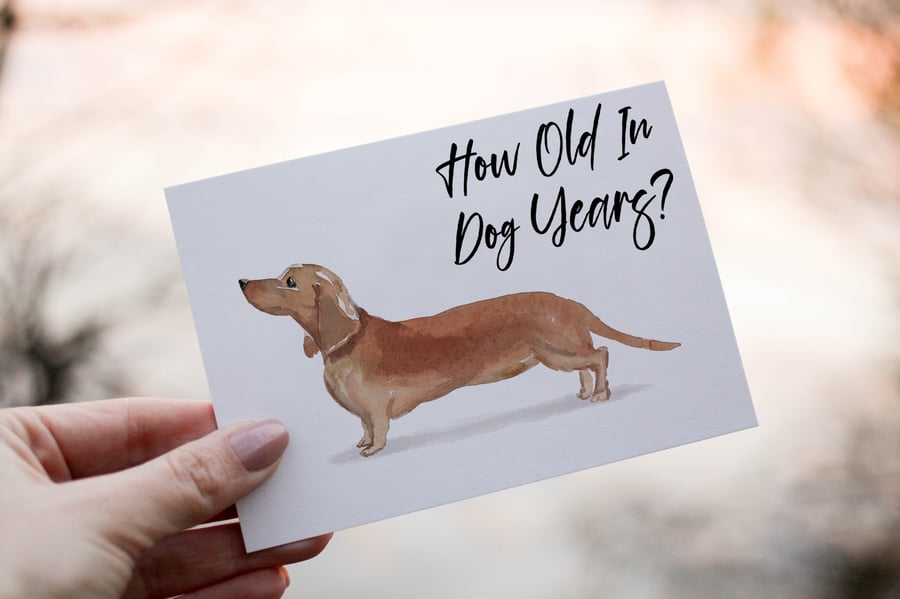 Dachshund Dog Birthday Card, Dog Birthday Card