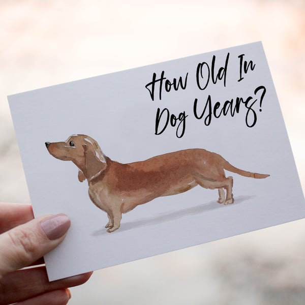 Dachshund Dog Birthday Card, Dog Birthday Card