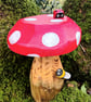 Red Spotty Toadstool (B2) - Image 1