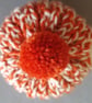 Tea Cosy, Cozy, Tea Pot Cover, Suki, For Life Stump Compatible, Hand Knitted - Image 5