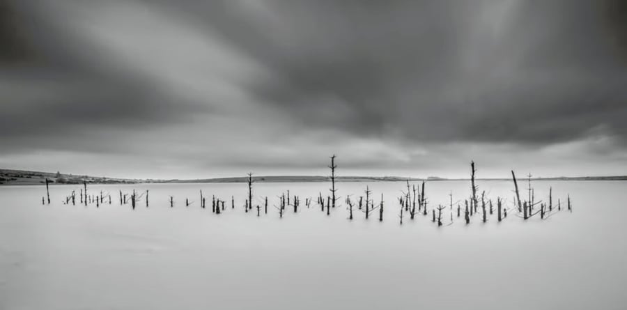 Black & white panoramic photo print “Drowned Trees”, Bodmin Moor, Cornwall