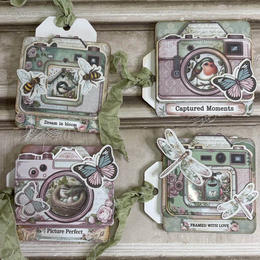 Hidden Paperclips Camera View  by Carolee Crafts PB8 0057