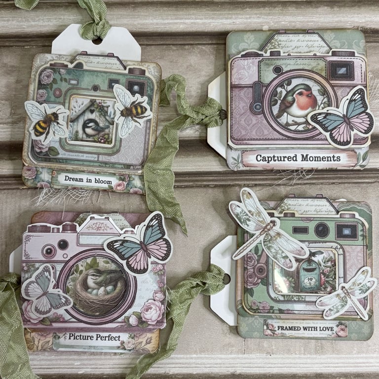 Hidden Paperclips Camera View  by Carolee Crafts PB8 0057