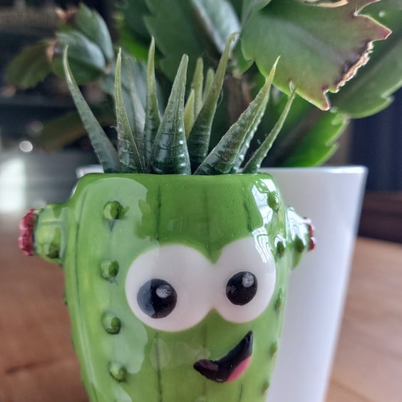 Mini cactus pot