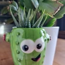 Mini cactus pot
