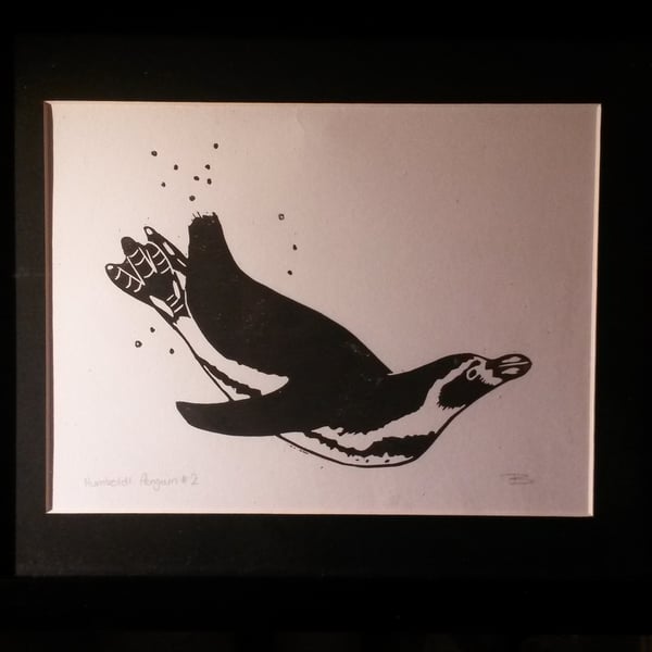 'Humboldt penguin no. 2' framed lino print
