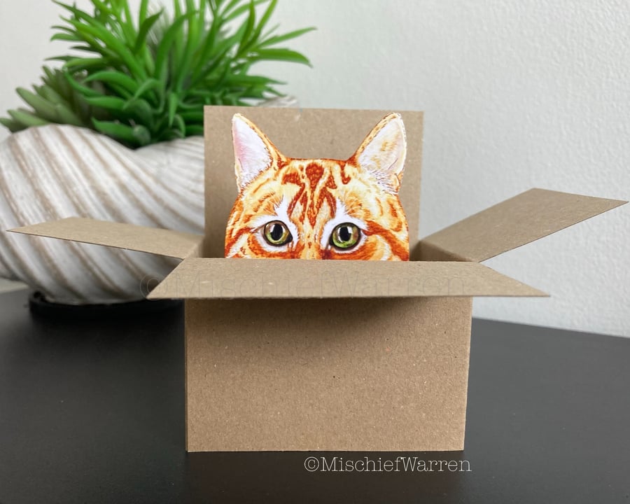 Ginger Cat In a Box Card. Blank or Personalised. 3D Gift card holder.