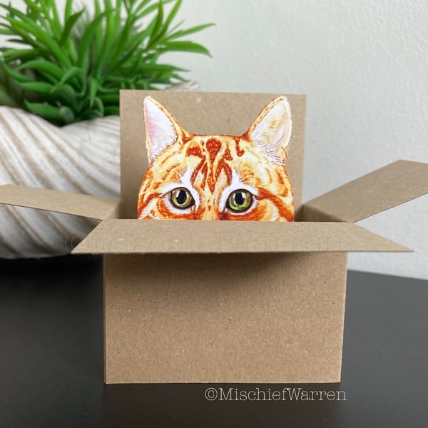 Ginger Cat In a Box Card. Blank or Personalised. 3D Gift card holder.